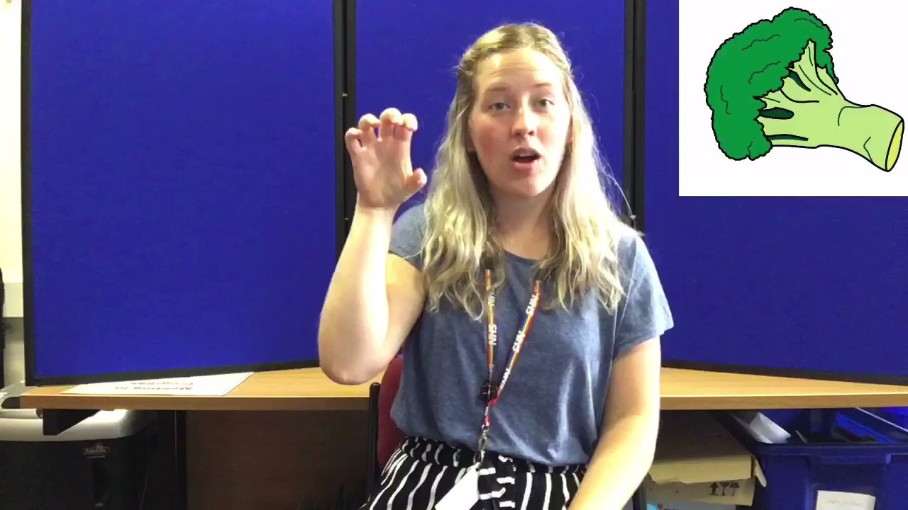 Makaton signs for the 'Food object matching' game