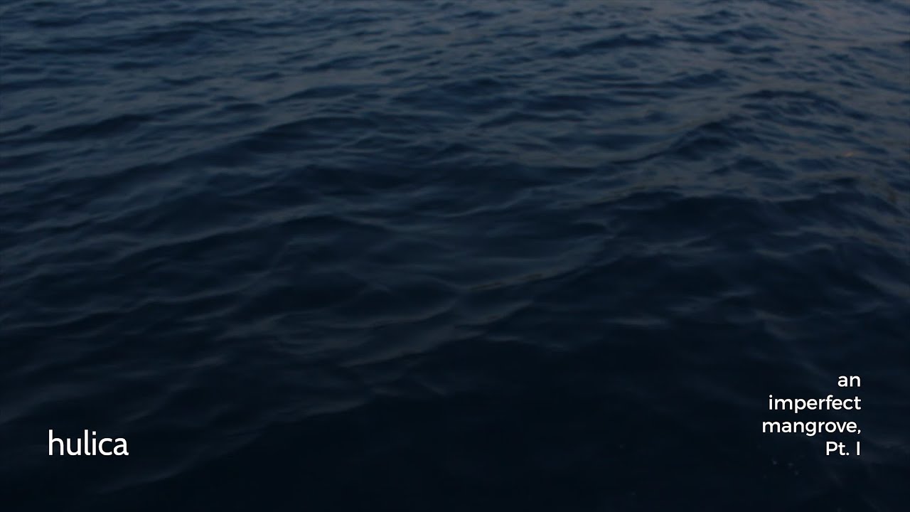 hulica - an imperfect mangrove, Pt. I [Official Lyric Video]