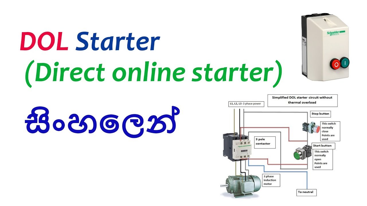 DOL starter sinhala
