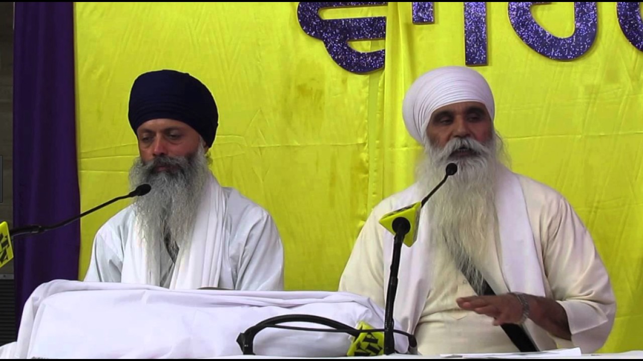 Health Tip : triphala benefit/ walnuts for  brain/ antibiotic turmeric by Sant Hari Singh Randhawa