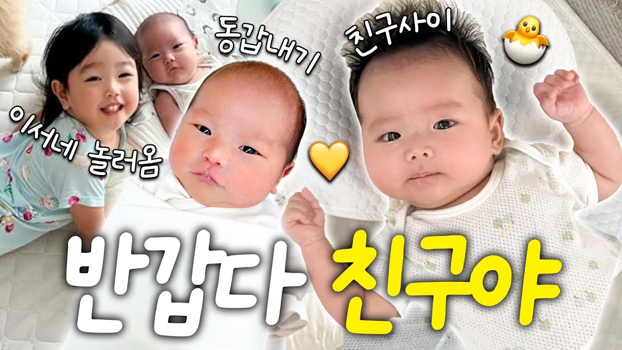 16년지기 친구👭🏻에서 동갑내기 육아 동지로!👩🏻‍🍼♥️ (50일 사진 촬영, 아기 3명과 에버랜드)