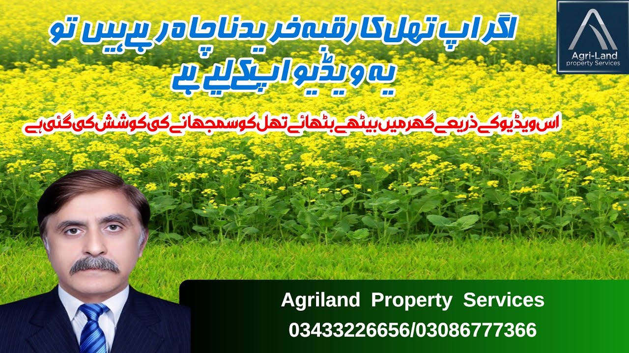 Thal ki Zamin kese hy I zarai zameen investment I Farming in Thal Desert