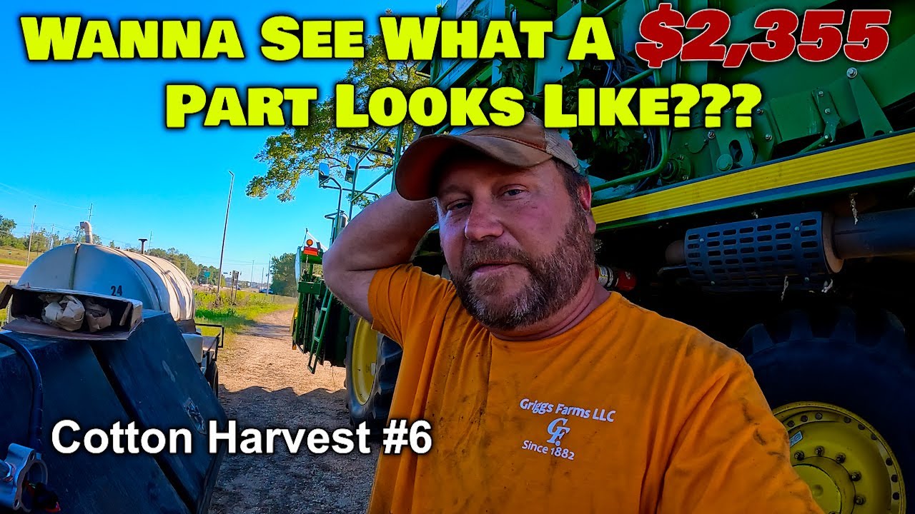 Looks Can Be Deceiving...  Cotton Harvest #6