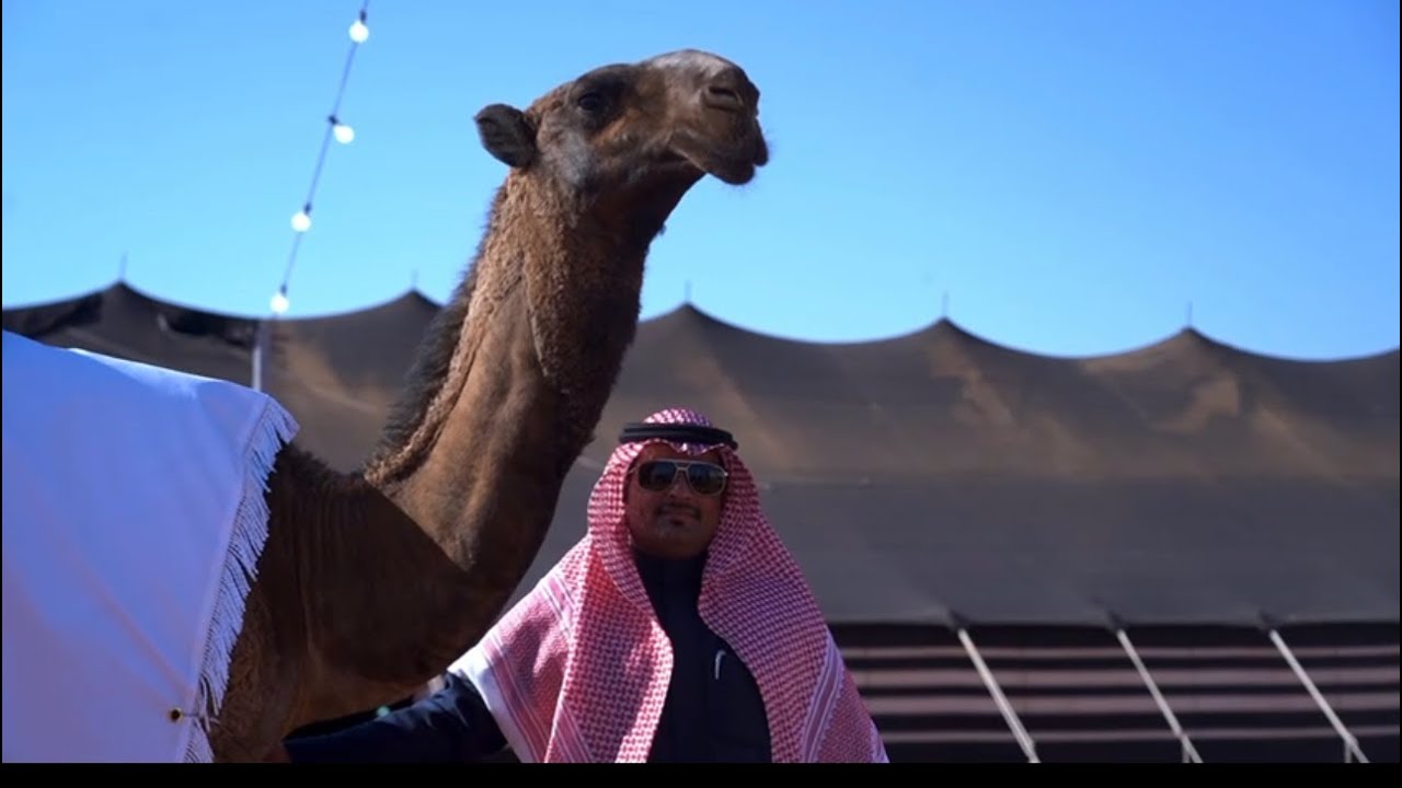 احتفال مالك الابل : بندر بن بدر بن عميره بمناسبة استضافة المملكة لكاس العالم ٢٠٣٤