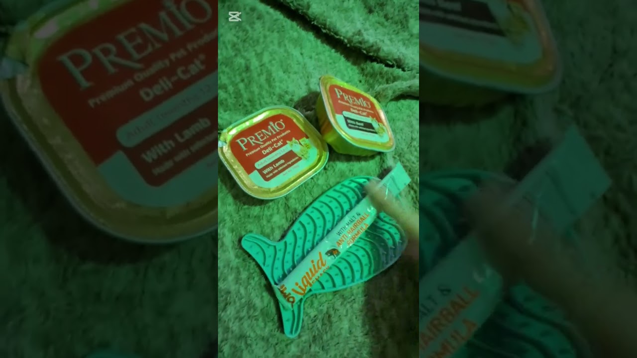Распоковка вещей для котика😙 и тест лизательного коврика