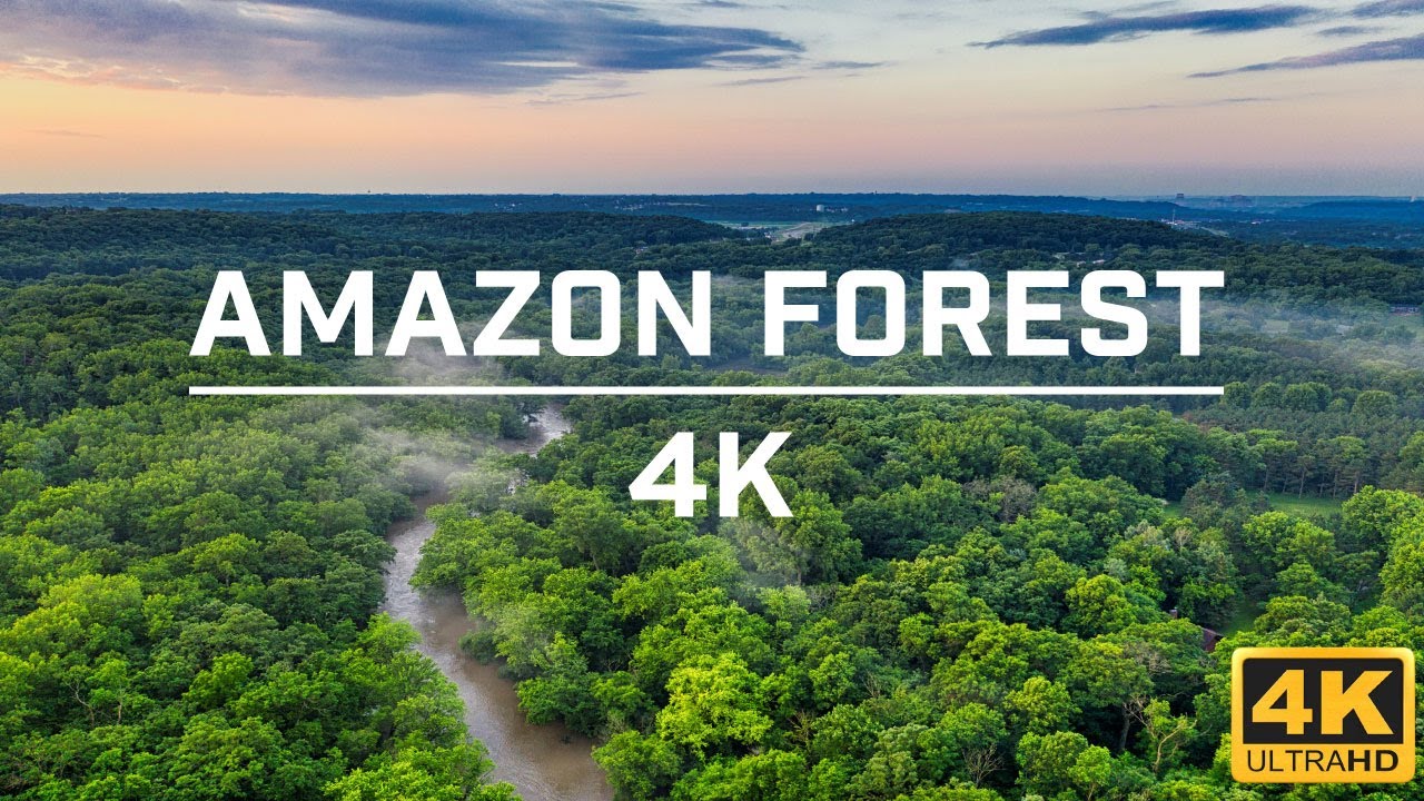 Amazon Forest  | Drone Views of Nature’s Paradise