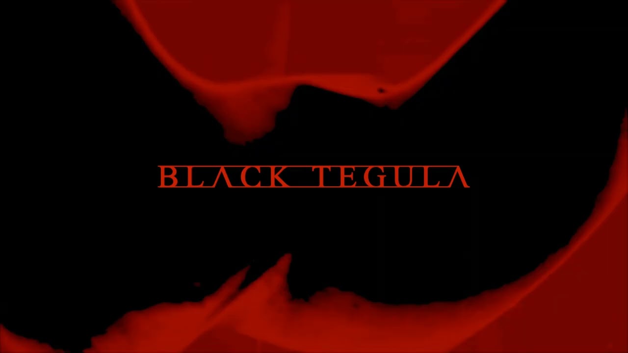 Silver Pattern - Black Tegula (Official Visualizer)