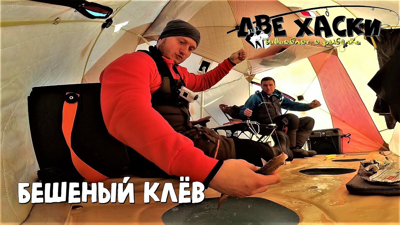 ЗИМНЯЯ РЫБАЛКА в ПАЛАТКЕ. НАДОЛБИЛИ РЫБЫ! ЗАКРЫТИЕ СЕЗОНА.