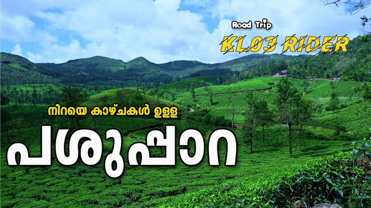 വാഗമണ്ണിൽ നിന്ന് പശുപ്പാറ വഴി ഉപ്പുതറ | KL 03 Rider | Vagamon Bike Ride | #vagamon 