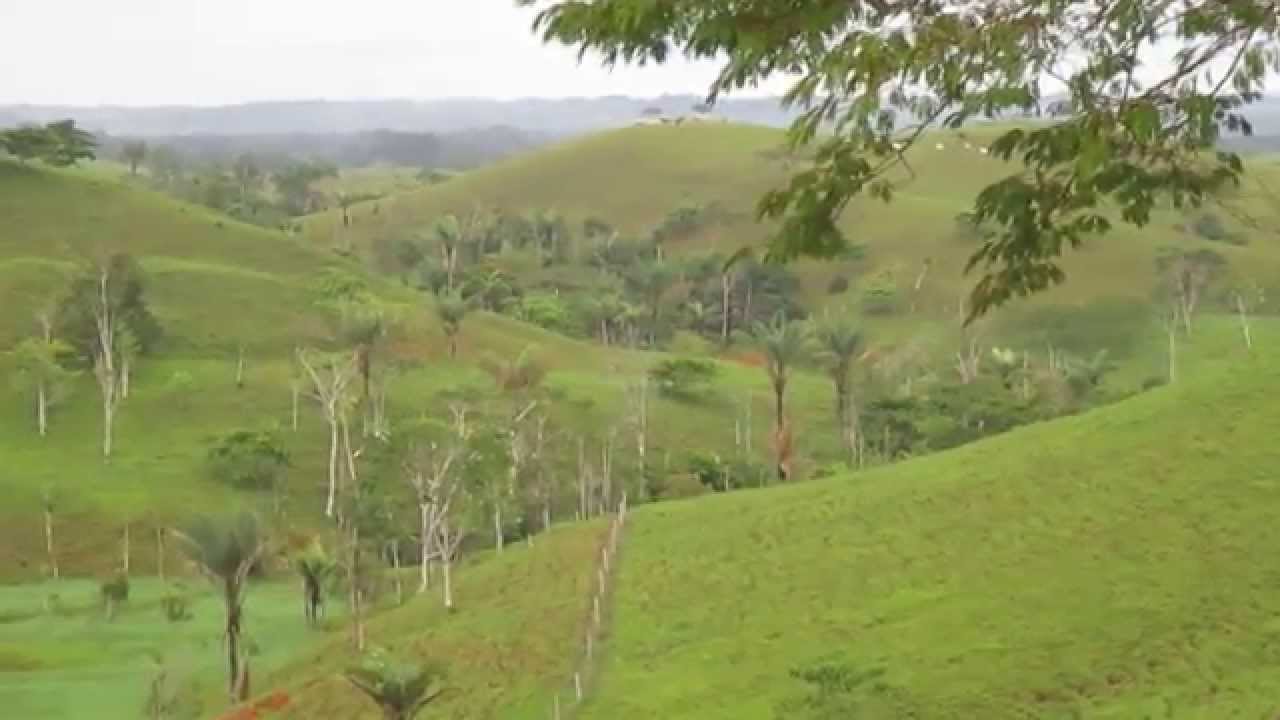 VENTA DE FINCA GANADERA EN CAQUETA