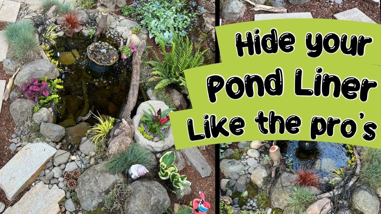 Make Your Pond Blend In; My Comprehensive Guide To Natural Looking Edges