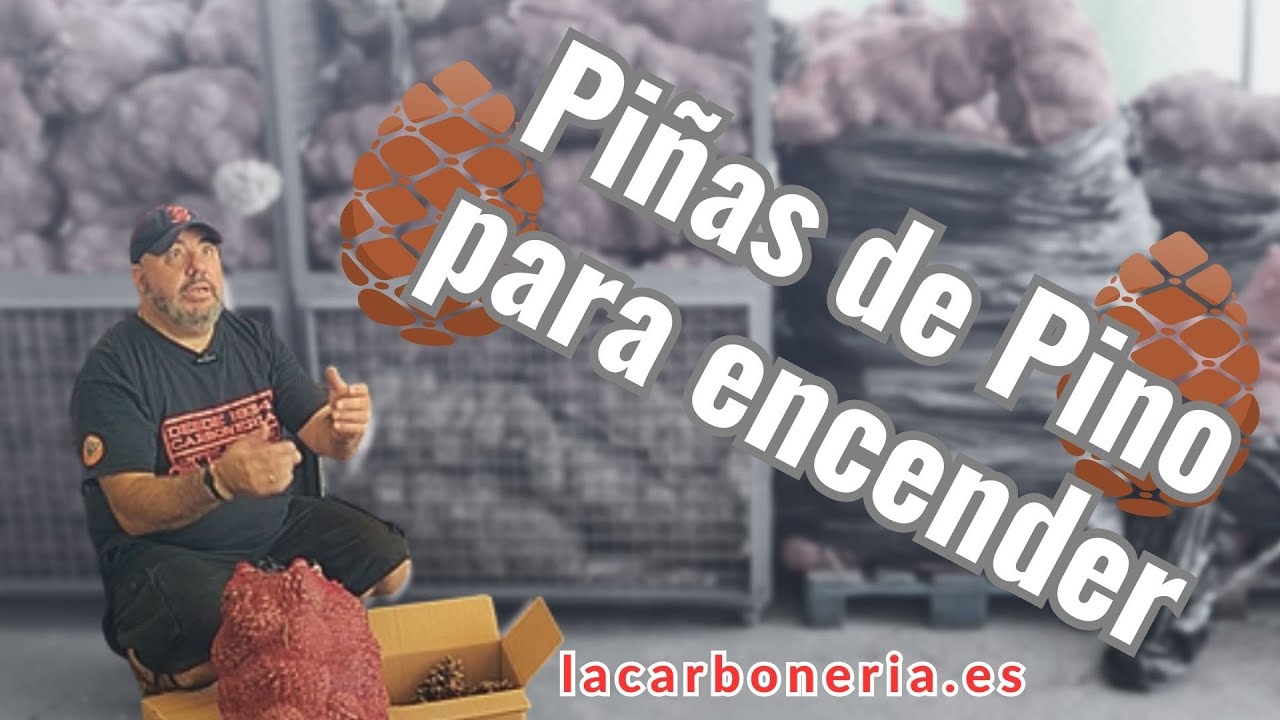 Piñas de pino para encender