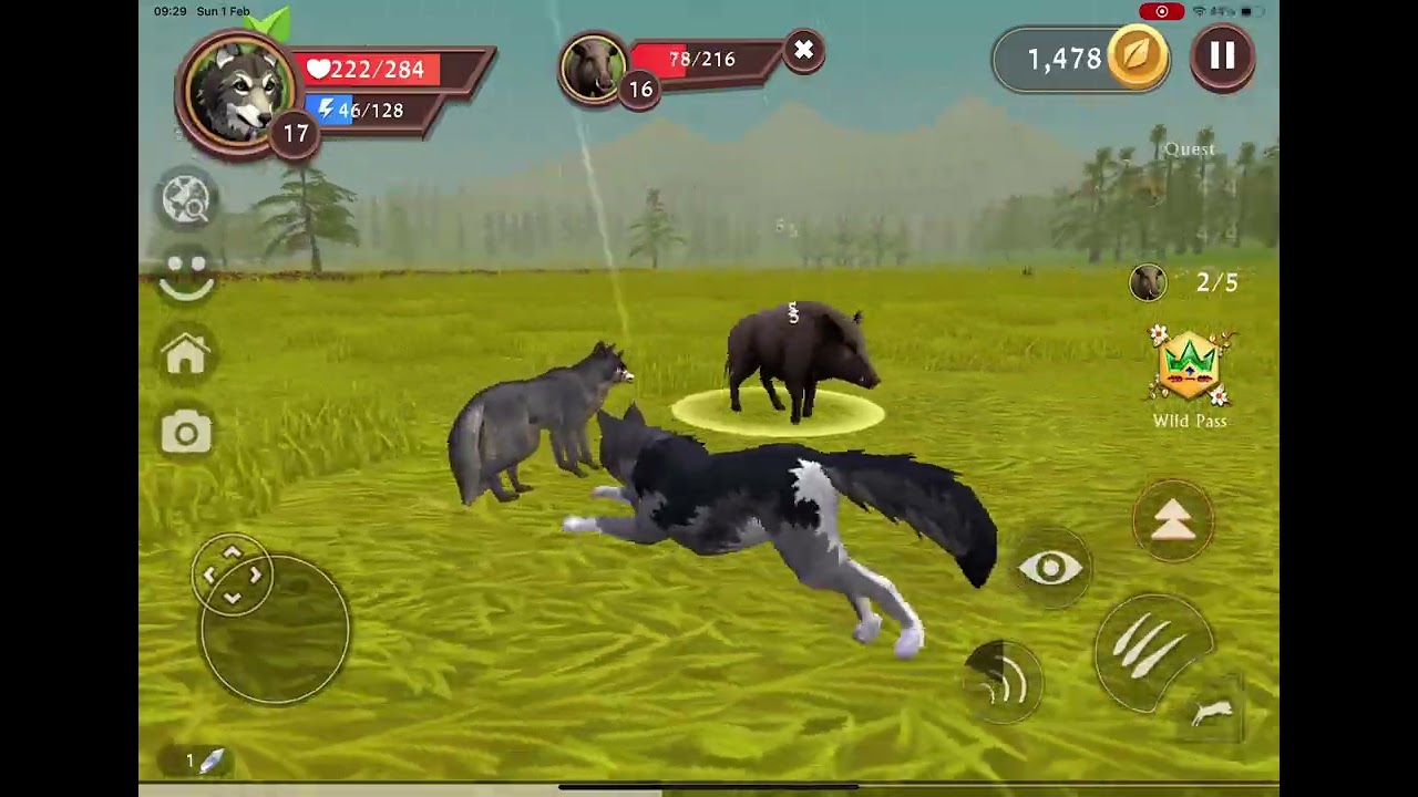 More wild craft
