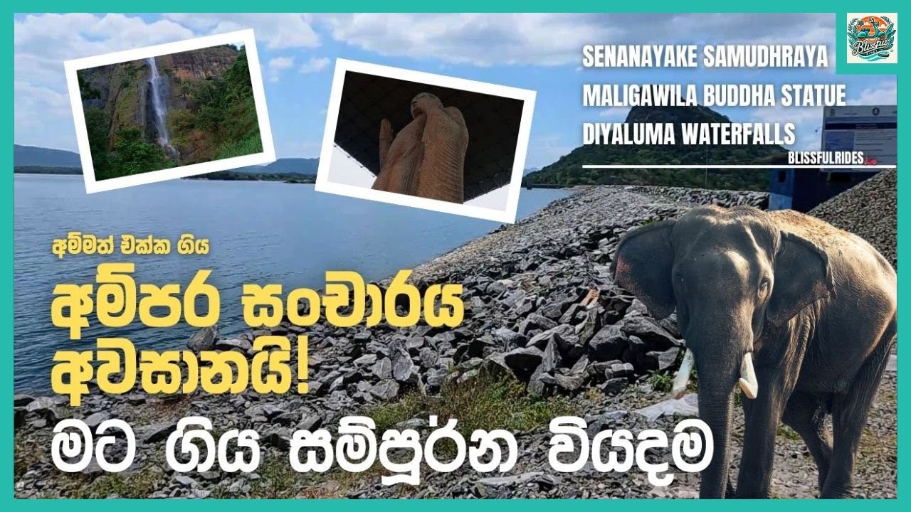 අම්පාරේ සංචාරය කරන්න කීයක් වියදම් වෙනවද? මලිගාවිල බුදු පිළිමය දියලුම ඇල්ල Back to Home from Ampara