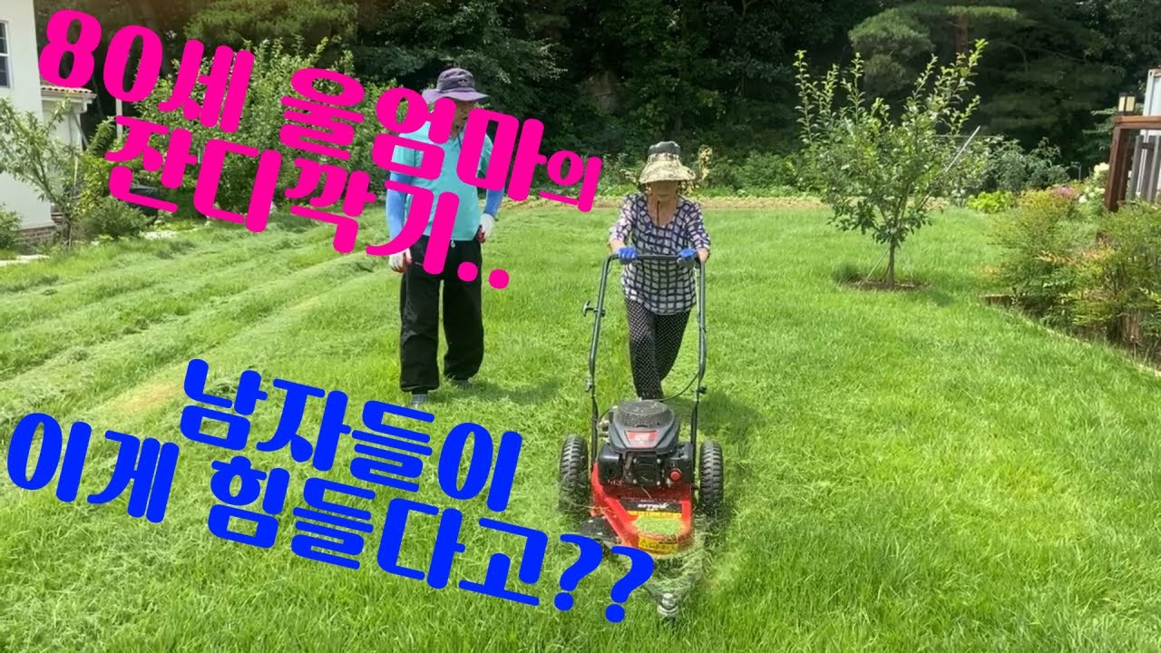 80세 어머니도 잔디깍기 쉽데요~  예초기 전혀 안쓰고 긴풀제초기만으로 쉽고 깔끔하면서도 빨리 잔디깍기. 보조바퀴와 쇠날 장착 후 잔디를 깍아보니 굴림도 쉽고, 높이도 일정해요~