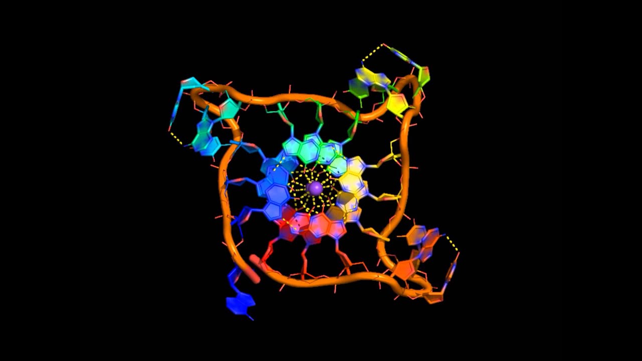 The human telomeric parallel G-quadruplex X-ray structure