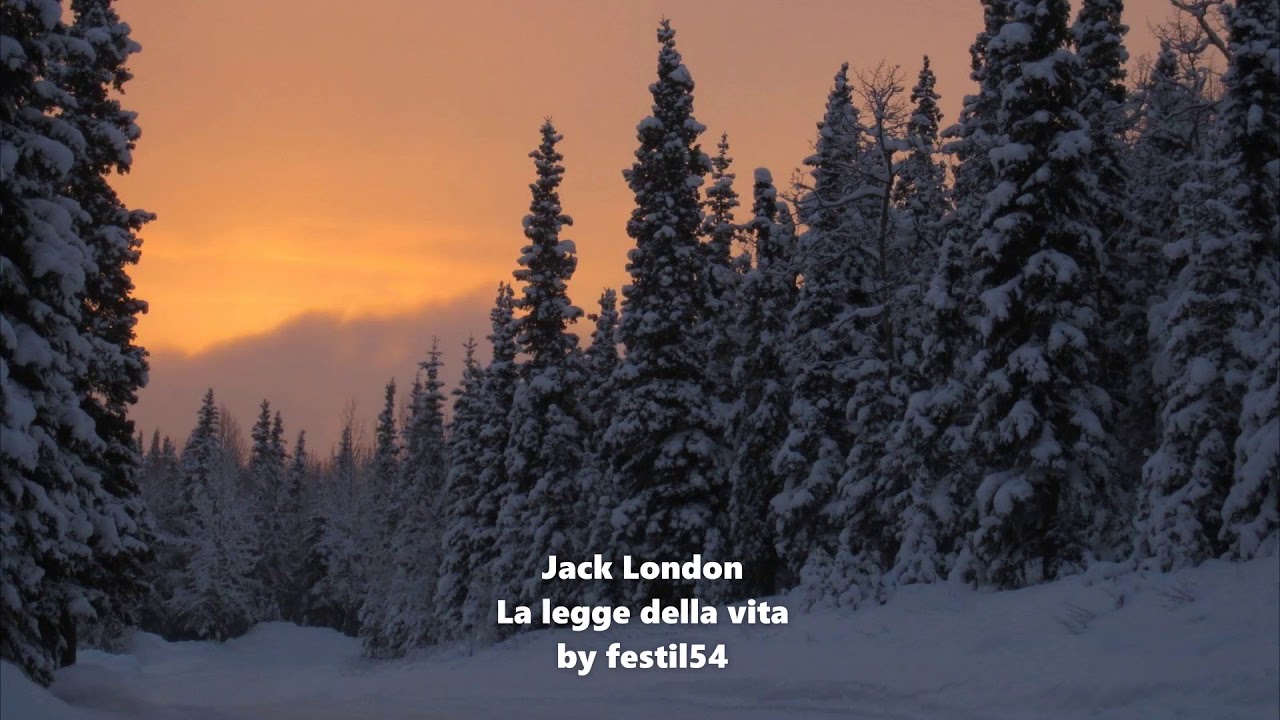 Jack London  