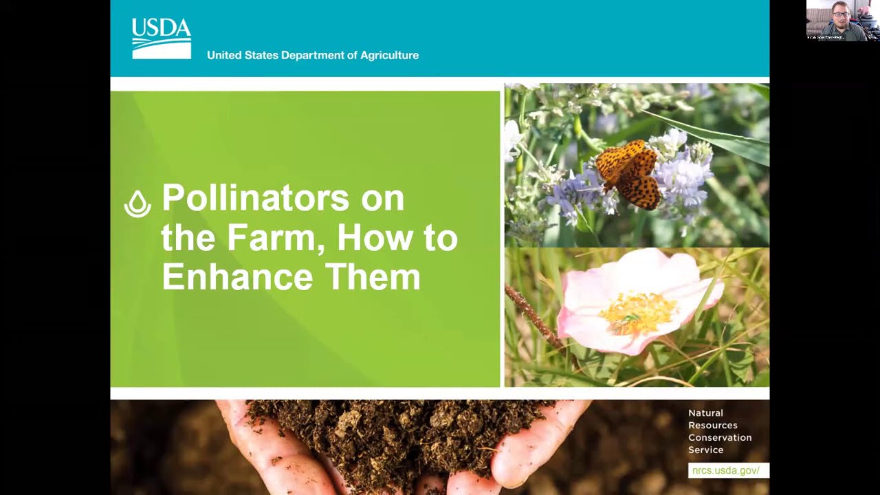 Agricultural Practices that Benefit Pollinators