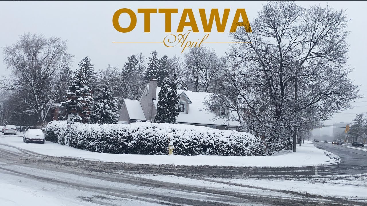 Walking on a snowy day in April, 2025, Canada | 4K