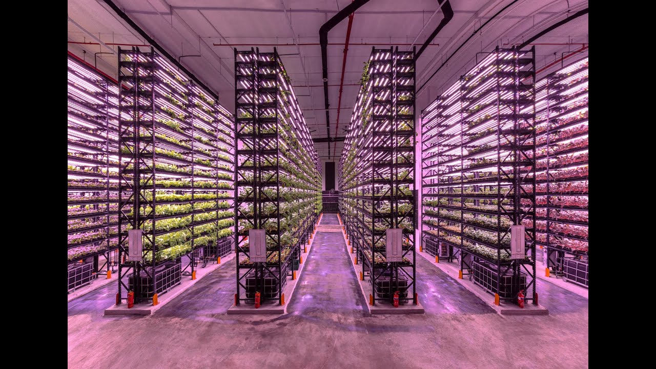 Introduction to Next Farmers