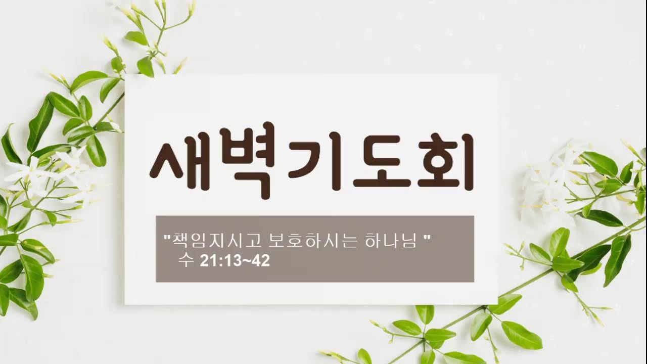새벽예배   2026. 2. 19.  