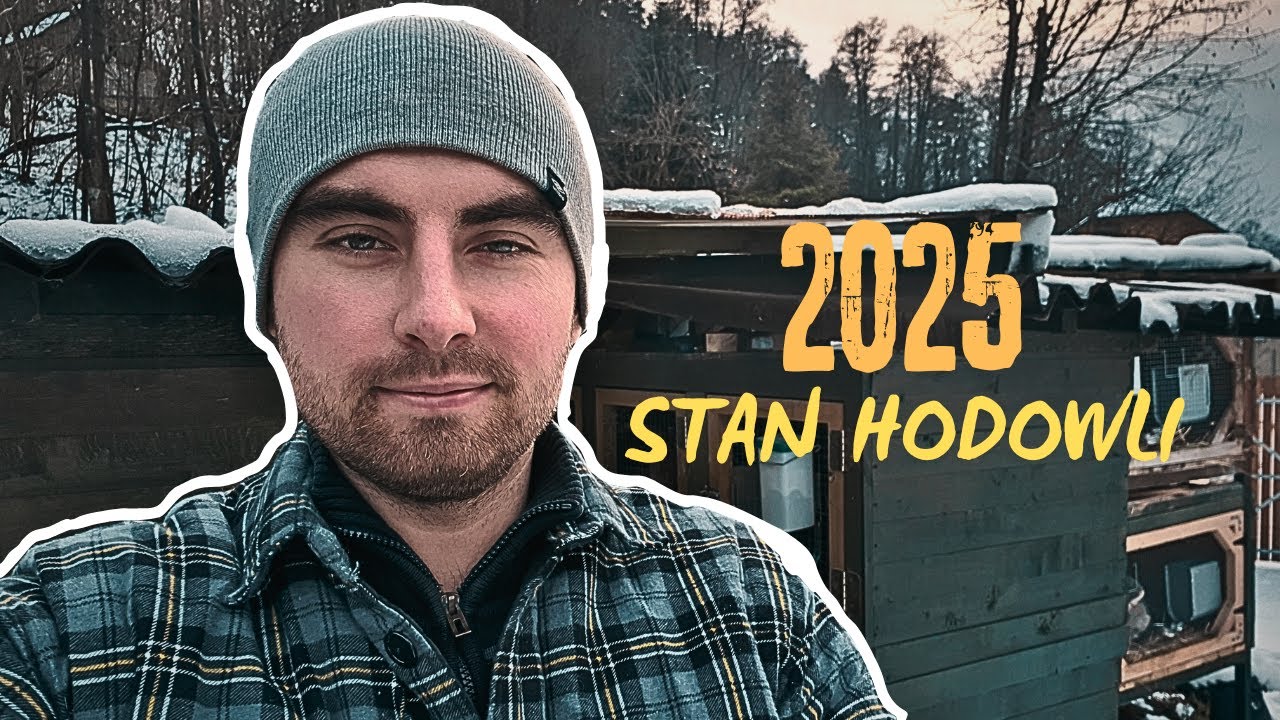Hodowla królików - zaczynamy sezon 2025