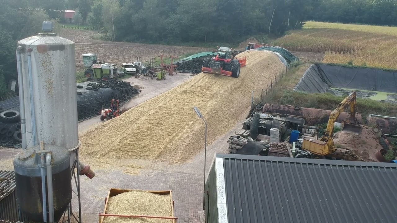 Mais Hakselen 2022 met Claas 690