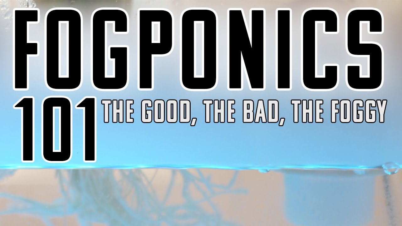 Fogponics 101 | How to use Ultrasonic Fogger to grow plants