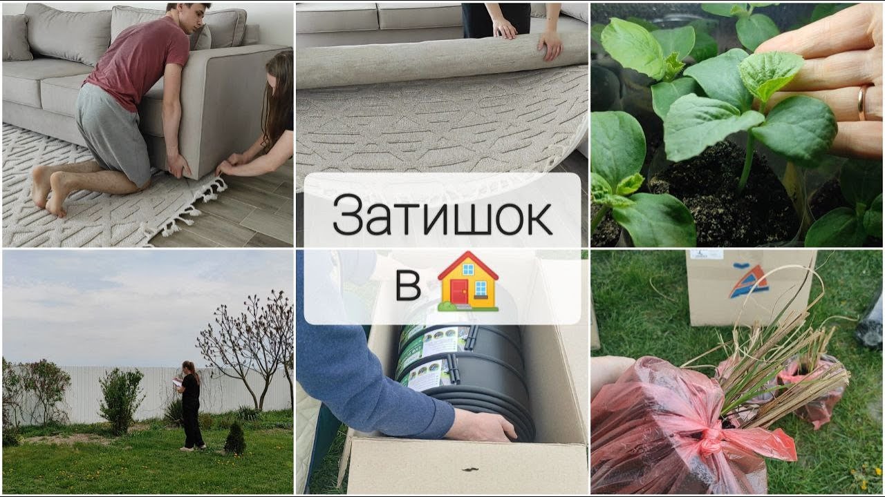 #190 ПРИМІРКА КИЛИМА/ нові рослини/ майбутній МІКСБОРДЕР