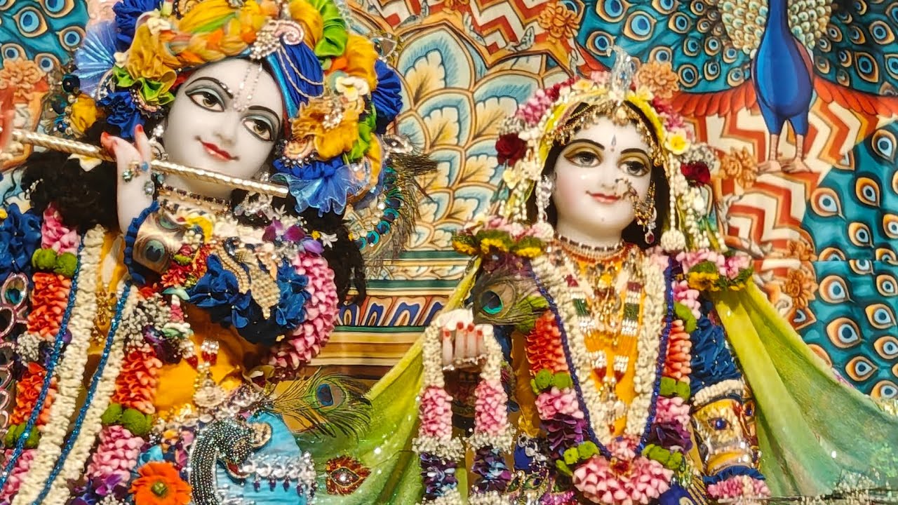 Holi festival in Iskcon Temple Live 🤗🙏🌺🫟🌸🦚🤗😘🙏🪔🪈💯