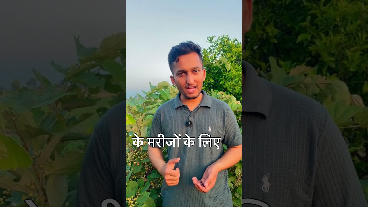 Benefits of Falsa..🌟🌟