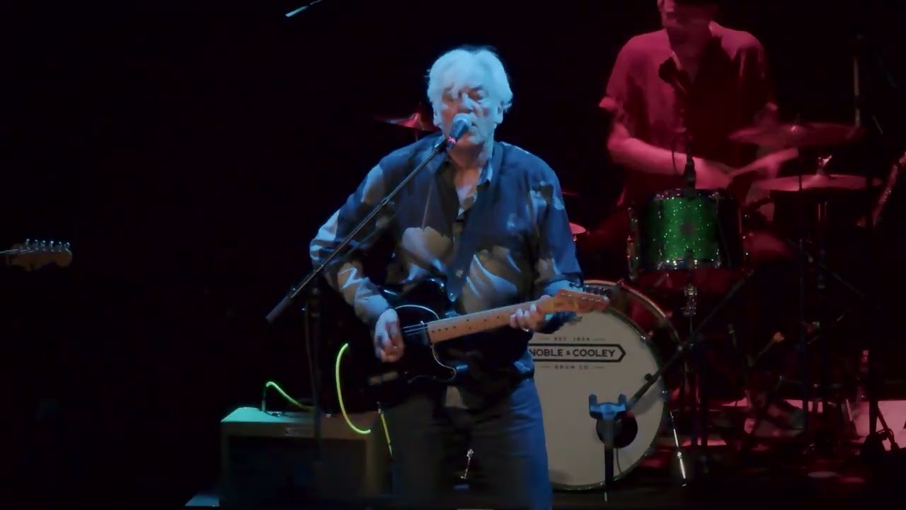 Robyn Hitchcock - 