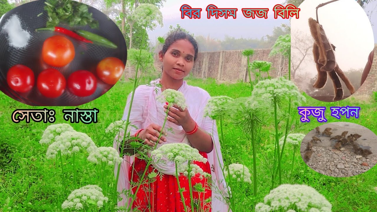 Huding sabji bagan #new santali vlog/Chandra & jasmi vlog 