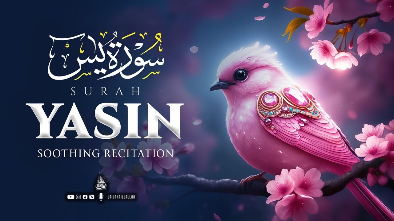 Peaceful Surah Yasin (سورة يس) recitation| Mesmerizing Quran Recitation to Calm Your Heart | #yasin