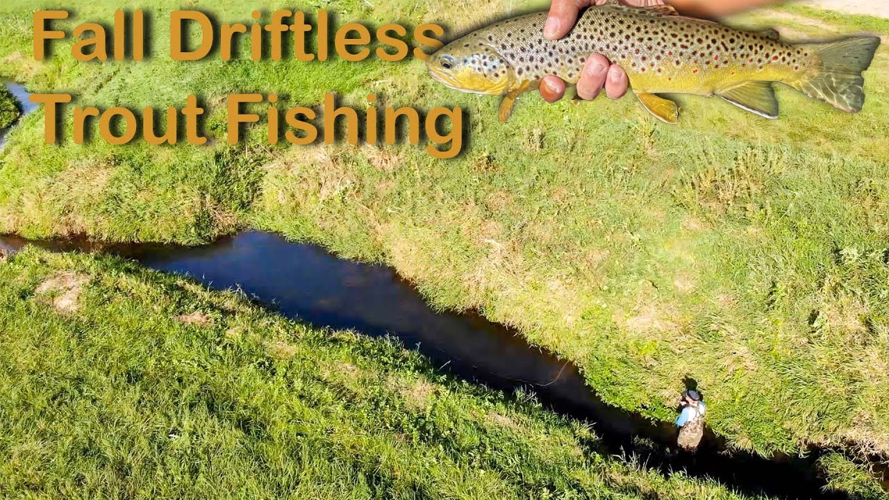 Hopper Fishing Spring Creeks of the Driftless for Chunky Brown and Brook Trout