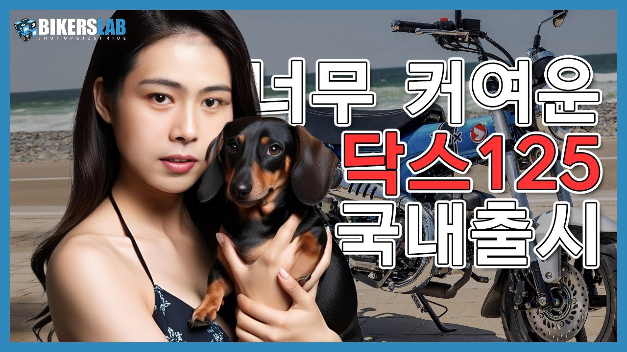 🐶닥스 125🐶 국내 출시! 한마리 입양하실래요?