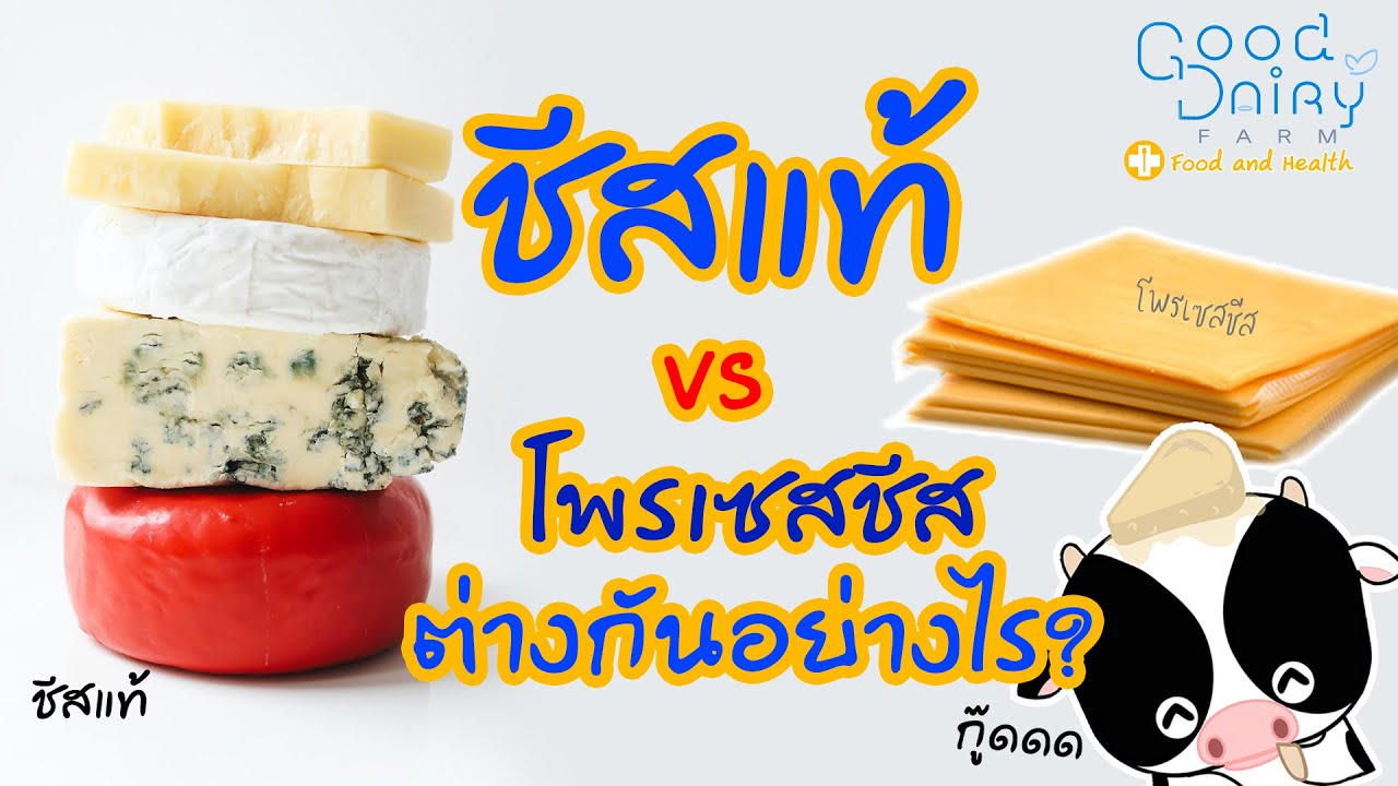 ชีสแท้ VS โพรเซสชีส ต่างกันอย่างไร? ความรู้รอบฟาร์มมีคำตอบ by กู๊ดแดรี่ฟาร์ม