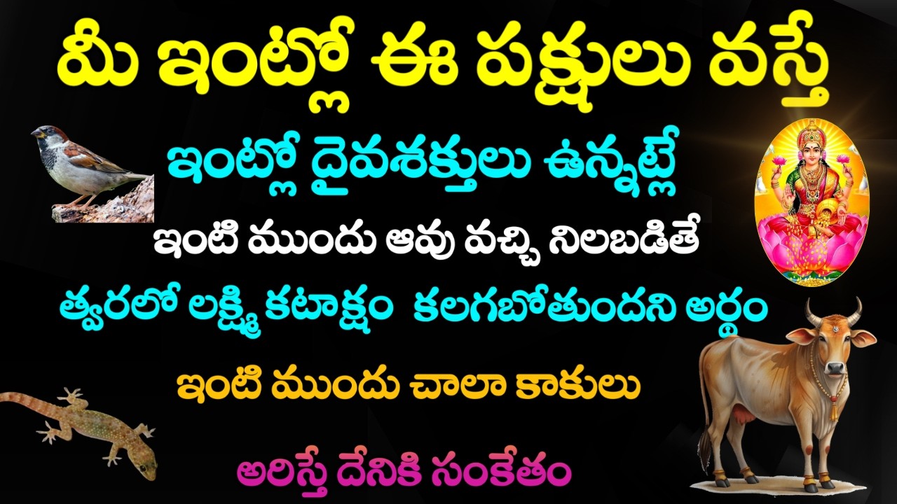మీ ఇంట్లో ఈ పక్షులు వస్తే మీ ఇంట్లో దైవ శక్తులు ఉన్నట్లే