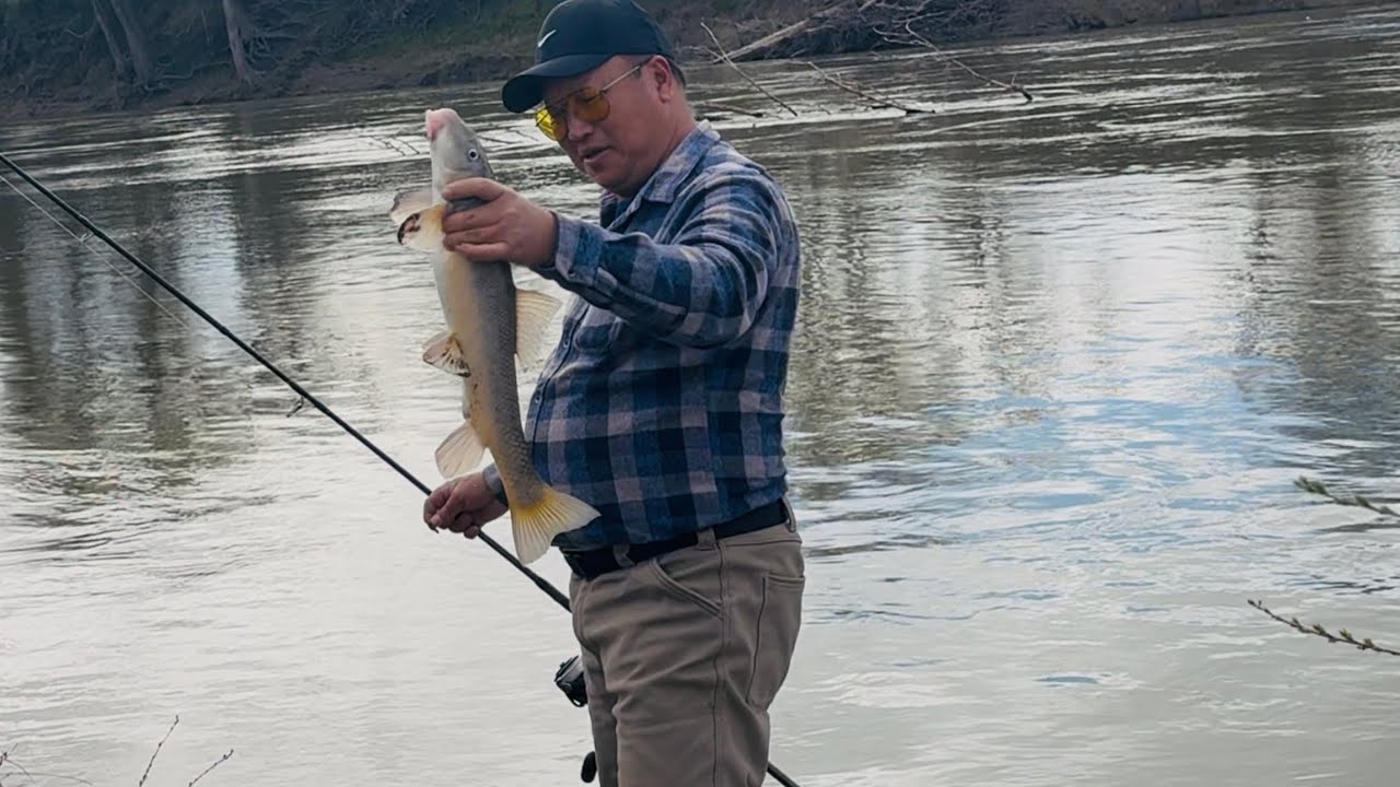 Catch N Cook and Fishing February 24, 2026