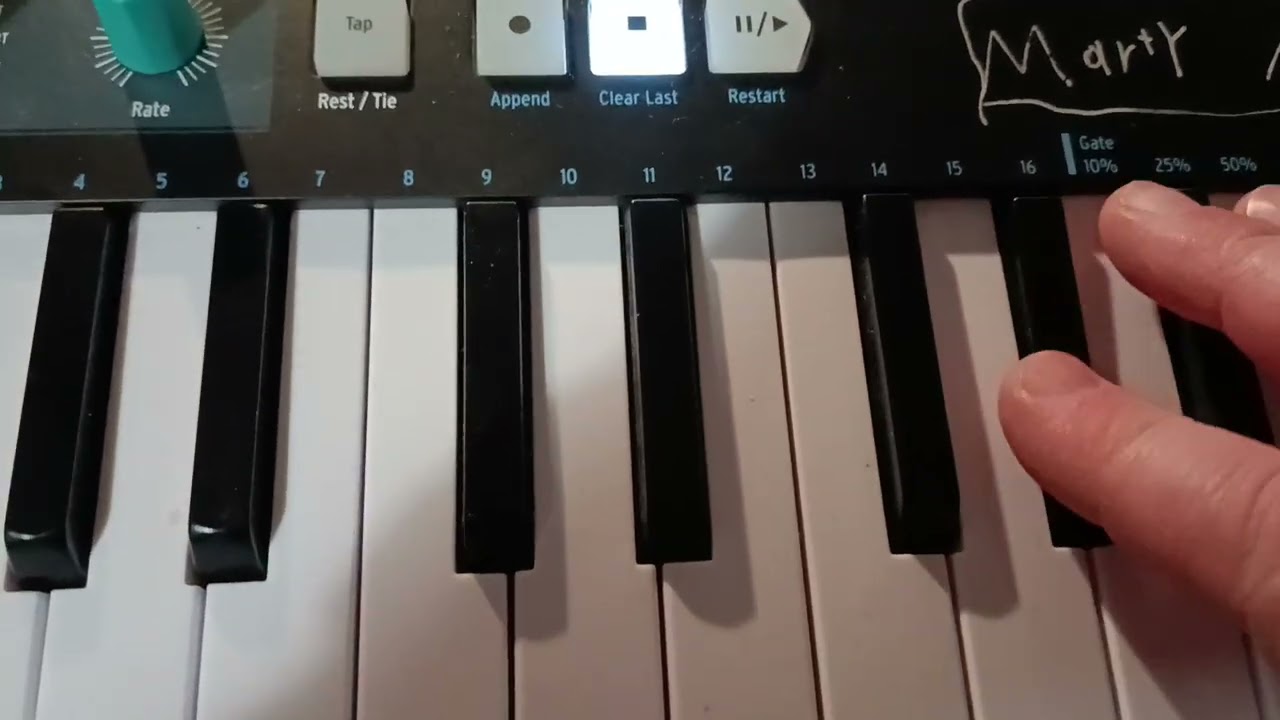 Waldorf Protein & Roland TR6S dawless ham with Jam, Dub Techno Preset, retro, 90s