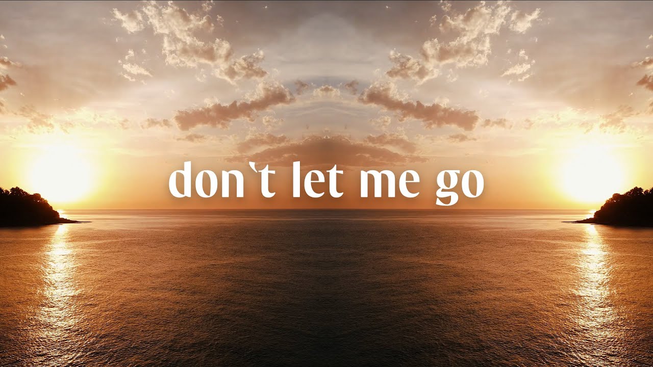 Flyh - Don’t Let Me Go (Extended Mix)[Afro House]