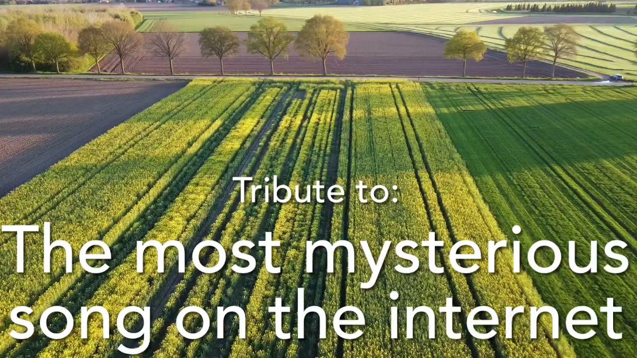 The most mysterious song on the internet (Drone version) Update: SOLVED [FEX - Subways of your mind]