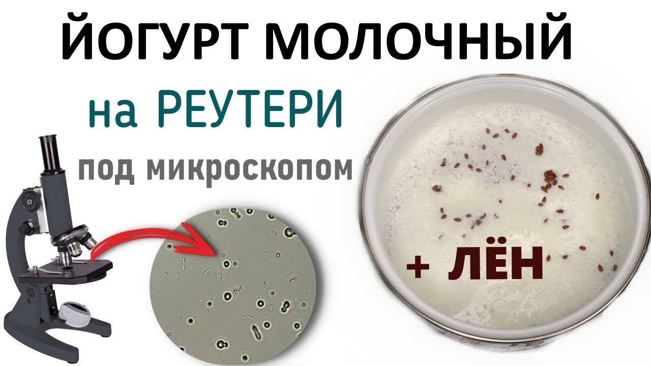 Йогурт со льном на реутери. Готовим и смотрим в микроскоп.