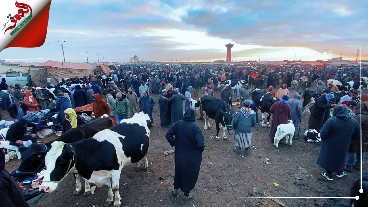 سوق الثلاثاء بسيدي بنور.. فضاء كارثي و 