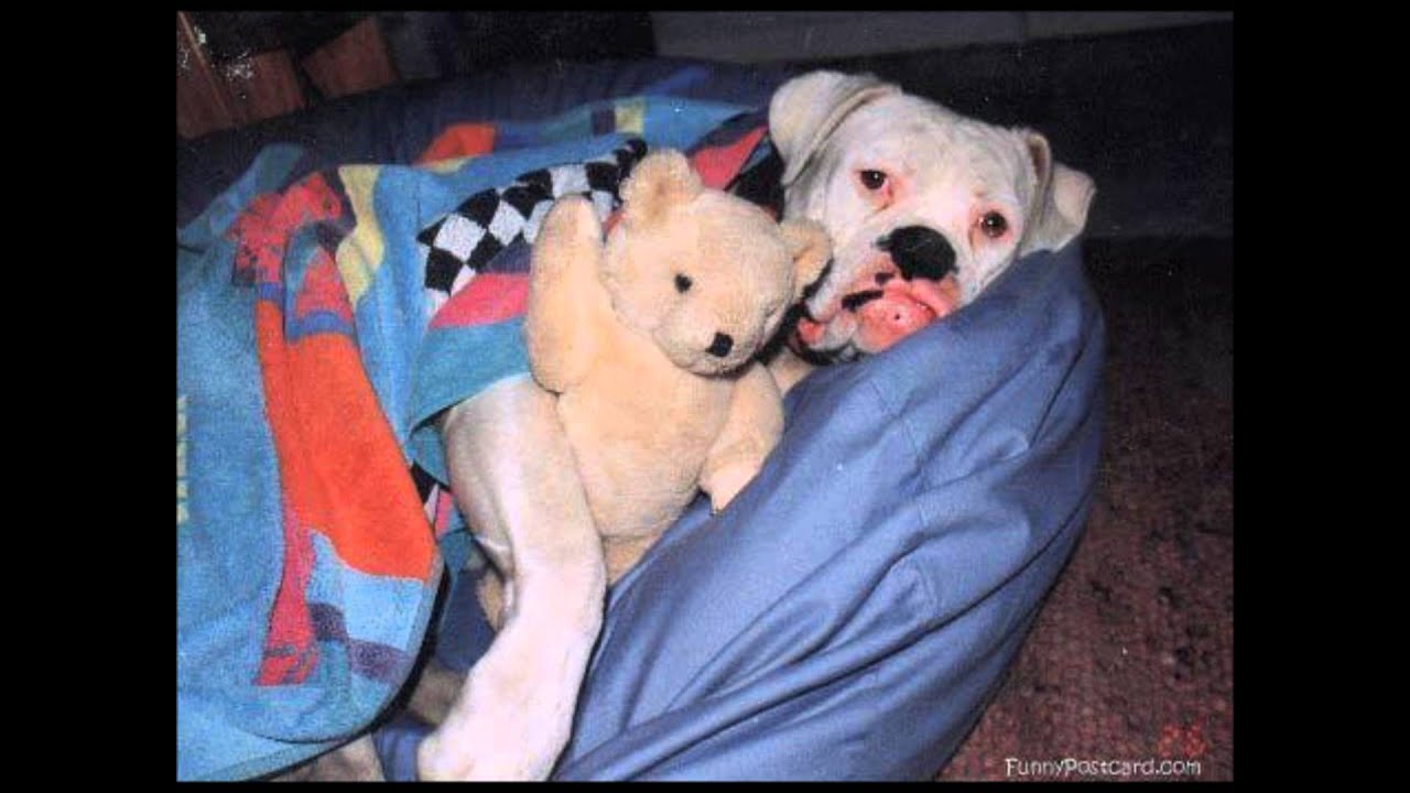 R. Stevie Moore-  You Don't Have to Worry About Me