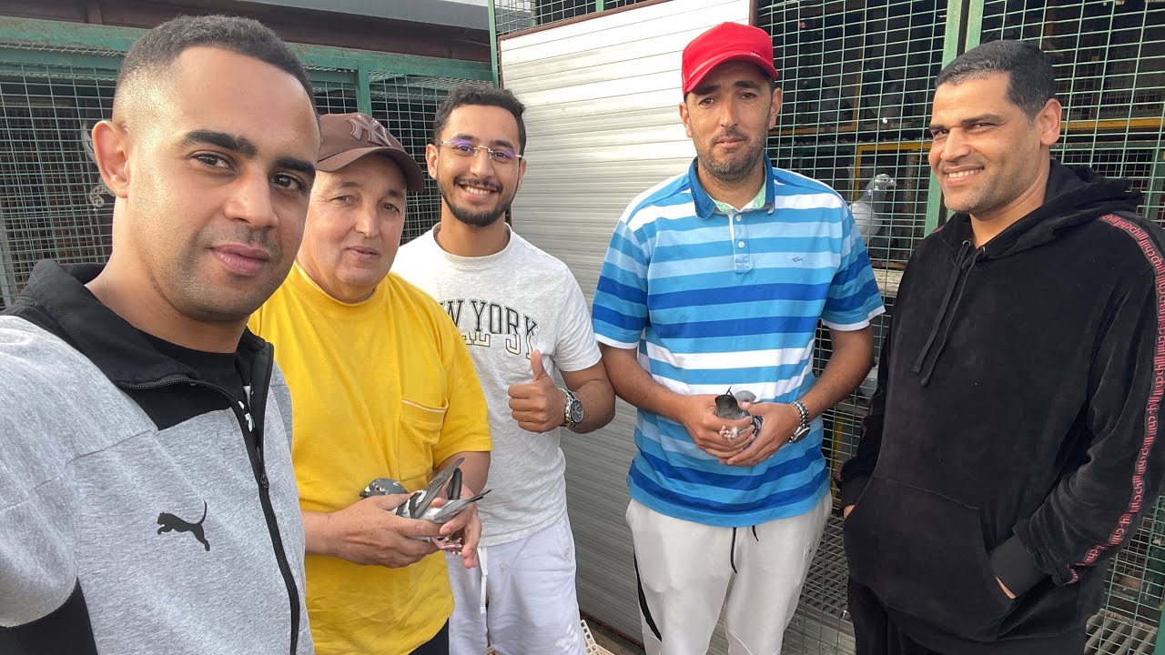 الحلقة 32 : سلسلة التعريف بالسلالات🥇🏆 مع الطونديم العالمي👈🏻 العيسات | مرباح🧨💥