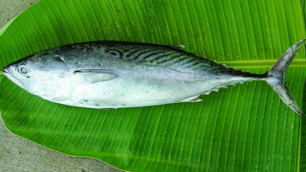 THE FOOD HOURS | TAMIL |KERALA FISH CURRY