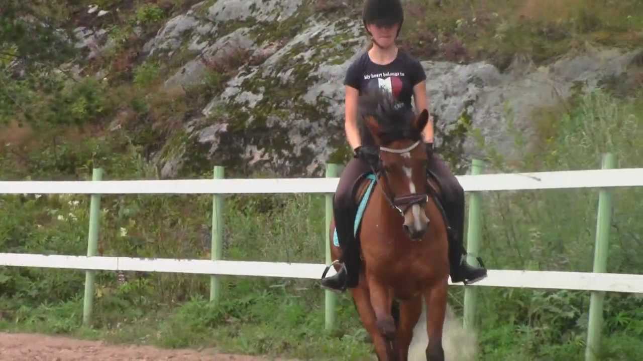 Videopostaus