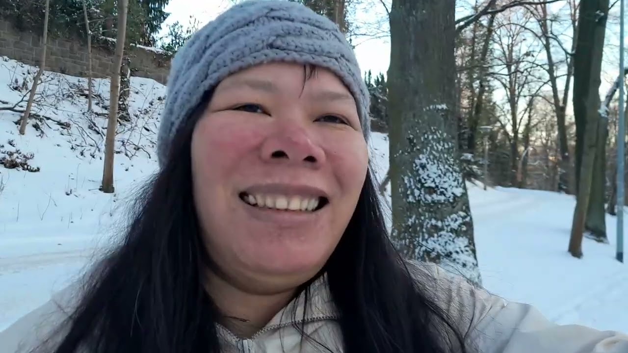 Mọi người cùng nhau đi ngắm tuyết 