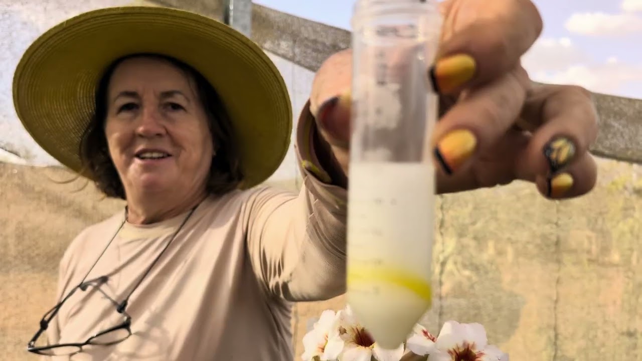 A CURA DAS PLANTAS VEM DA FARMÁCIA 